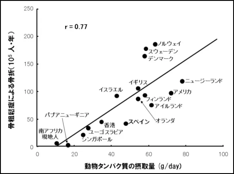 動物たんぱく質の摂取量と骨粗鬆症による骨折は比例する