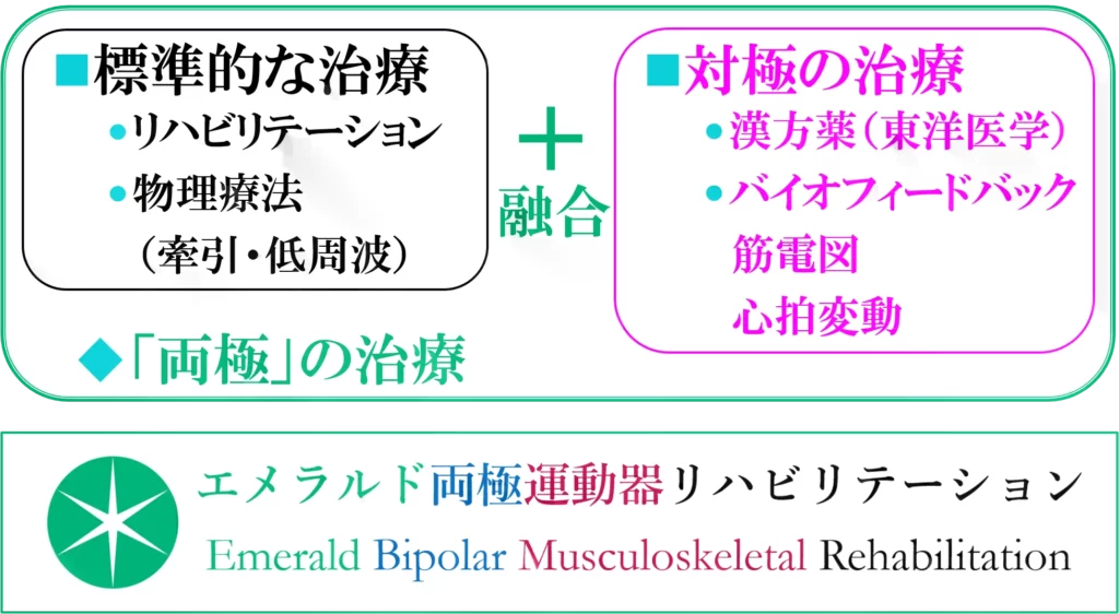 両極のリハビリテーション