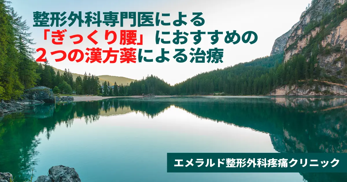 整形外科専門医による「ぎっくり腰」におすすめの２つの漢方薬による治療