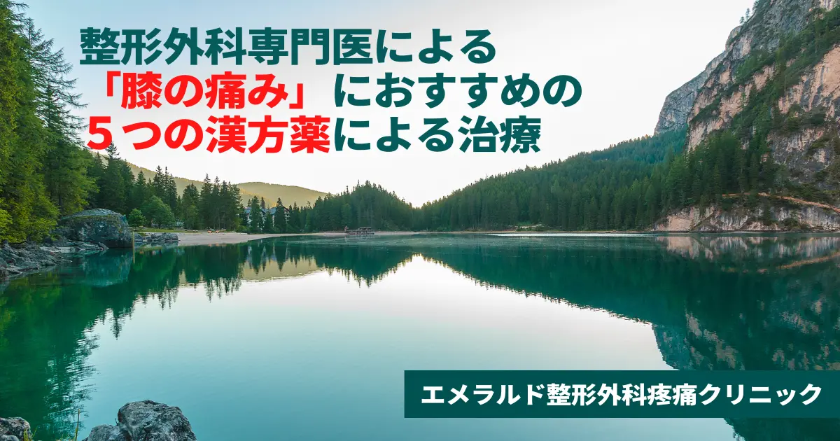 整形外科専門医による「膝の痛み」におすすめの５つの漢方薬による治療