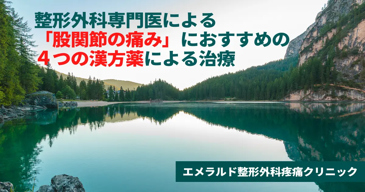 整形外科専門医による「股関節の痛み」におすすめの４つの漢方薬による治療