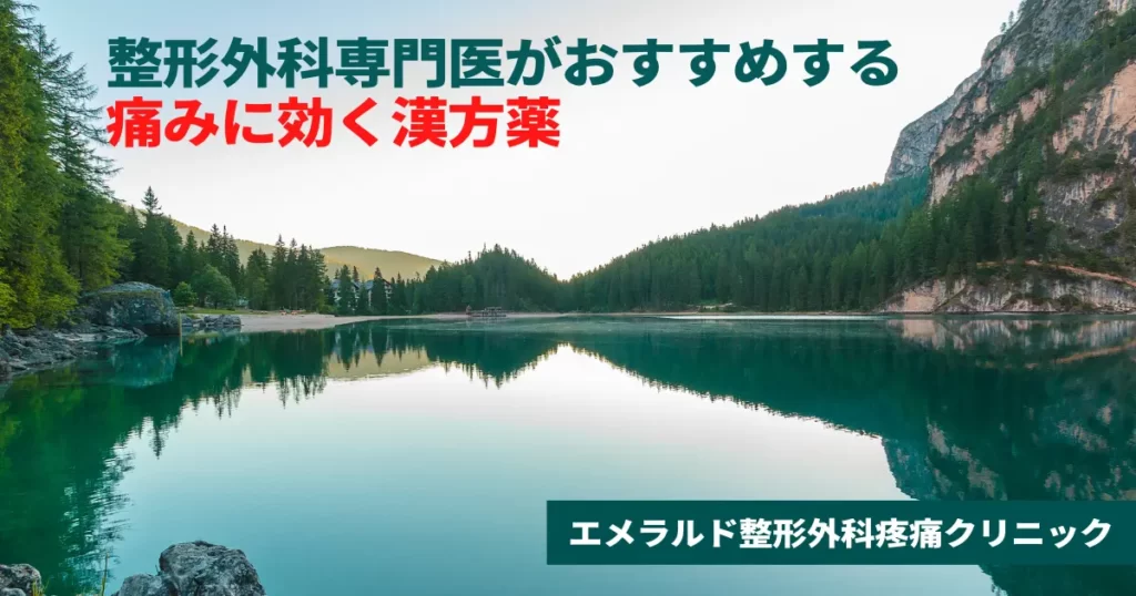 整形外科専門医にがおすすめする痛みに効く漢方薬