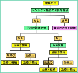エメラルド整形外科疼痛クリニックの腰痛に対する診断・治療アルゴリズム
