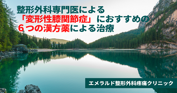 整形外科専門医による「変形性膝関節症」におすすめの6つの漢方薬による治療
