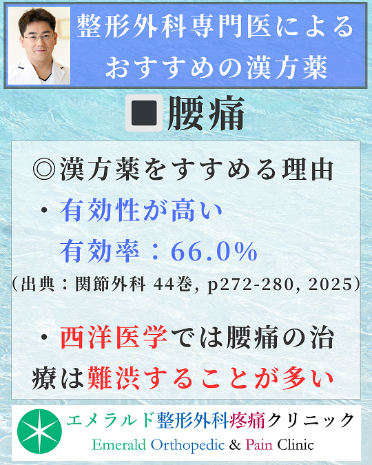 整形外科専門医による腰痛におすすめの漢方薬
